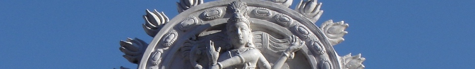 Navamsa header image 2