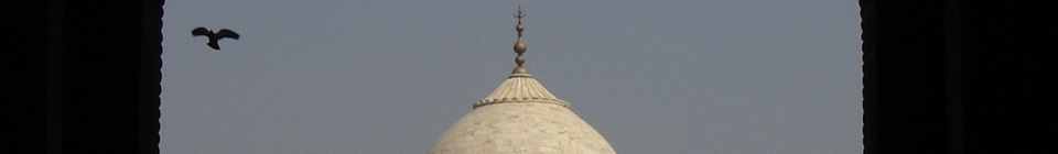 Navamsa header image 3