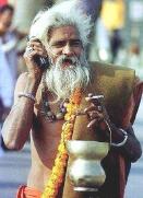 sadhu cell